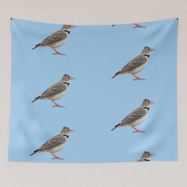 Item preview, Calandra Lark Color Design  designed and sold by designsasstultd.