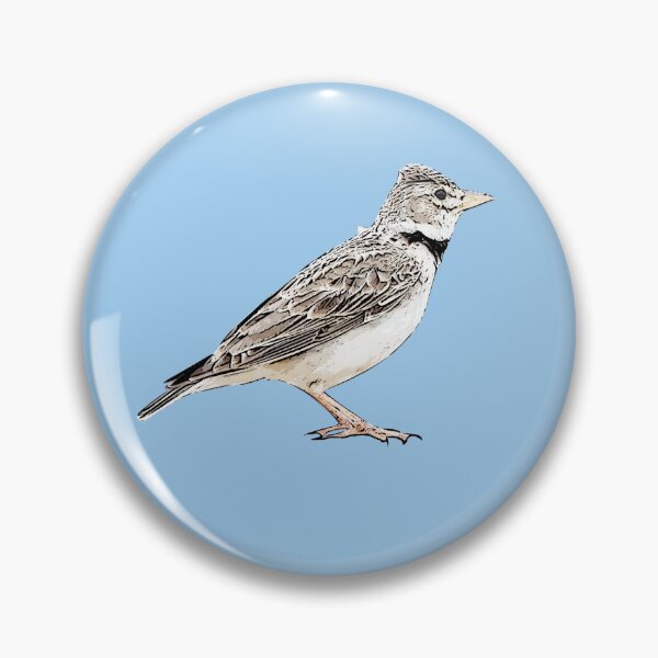 Item preview, Calandra Lark Black Alternate Design  designed and sold by designsasstultd.