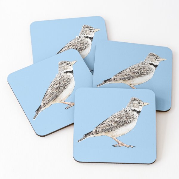 Item preview, Calandra Lark Black Alternate Design  designed and sold by designsasstultd.