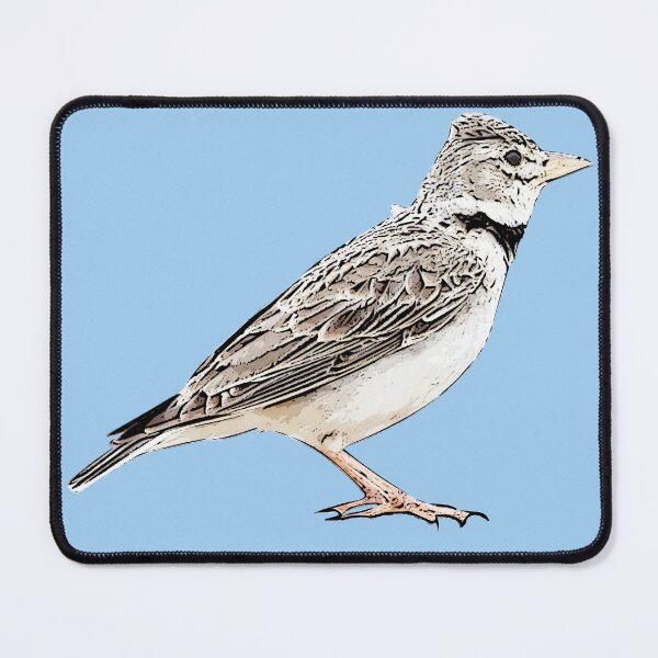 Item preview, Calandra Lark Black Alternate Design  designed and sold by designsasstultd.