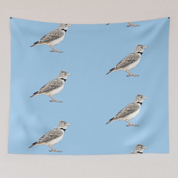 Item preview, Calandra Lark Black Alternate Design  designed and sold by designsasstultd.