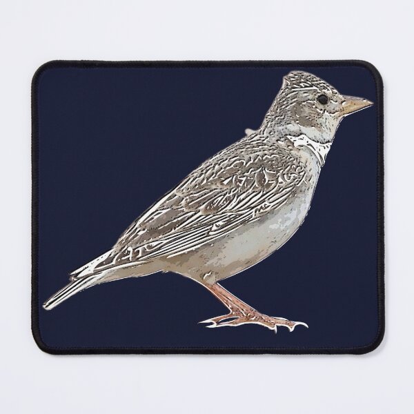 Item preview, Calandra Lark White Alternate Design  designed and sold by designsasstultd.