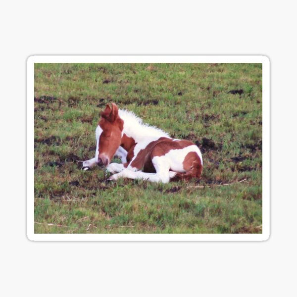 Item preview, Sleeping pony  designed and sold by Chichi352.
