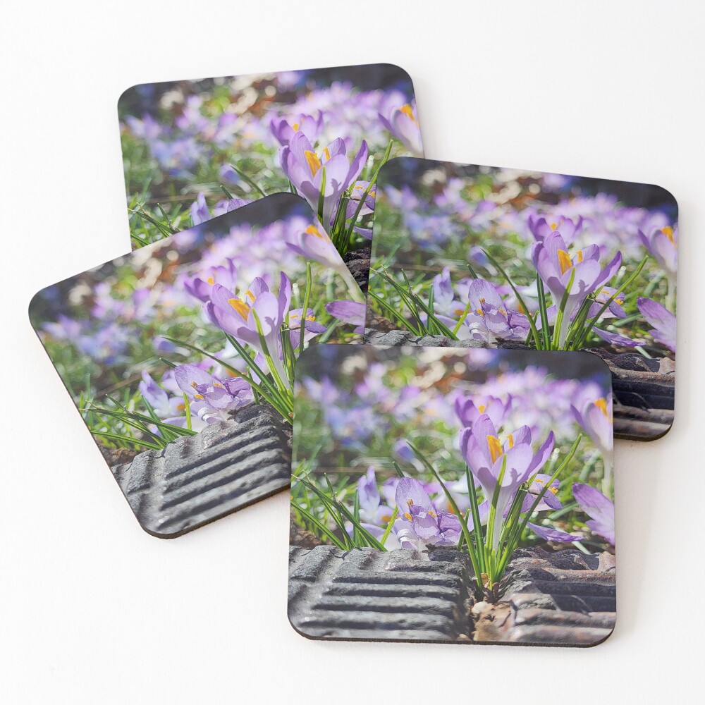 Item preview, Coasters (Set of 4) designed and sold by ChatStroh.