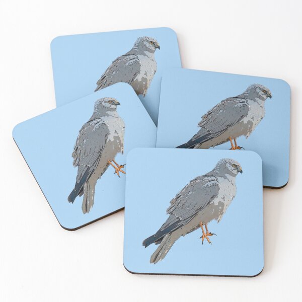 Item preview, Pallid Harrier Color Design  designed and sold by designsasstultd.