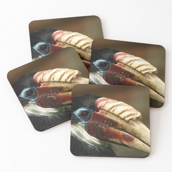 Item preview, Hornbill Portrait 2 designed and sold by Charles Oliver Creations.