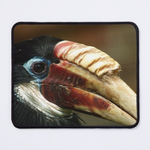 Item preview, Hornbill Portrait 2 designed and sold by Charles Oliver Creations.