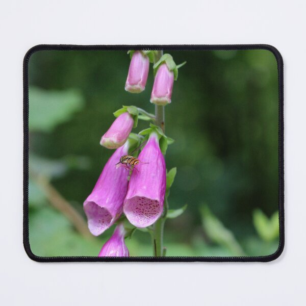 Item preview, A flowering foxglove with a hoverfly designed and sold by pinkal.