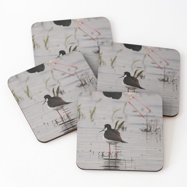 Item preview, Photobombed by a Black Necked Stilt designed and sold by Alyce Taylor.