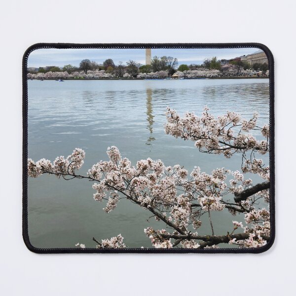 Item preview, Cherry Blossoms and the Washington Monument designed and sold by ChatStroh.