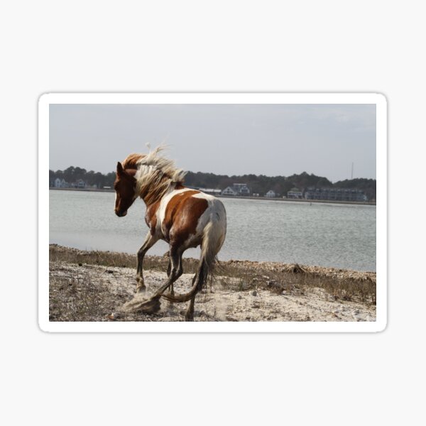 Item preview, Prancing Pony designed and sold by Chichi352.