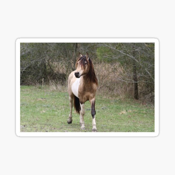 Item preview, Chincoteague Pony designed and sold by Chichi352.