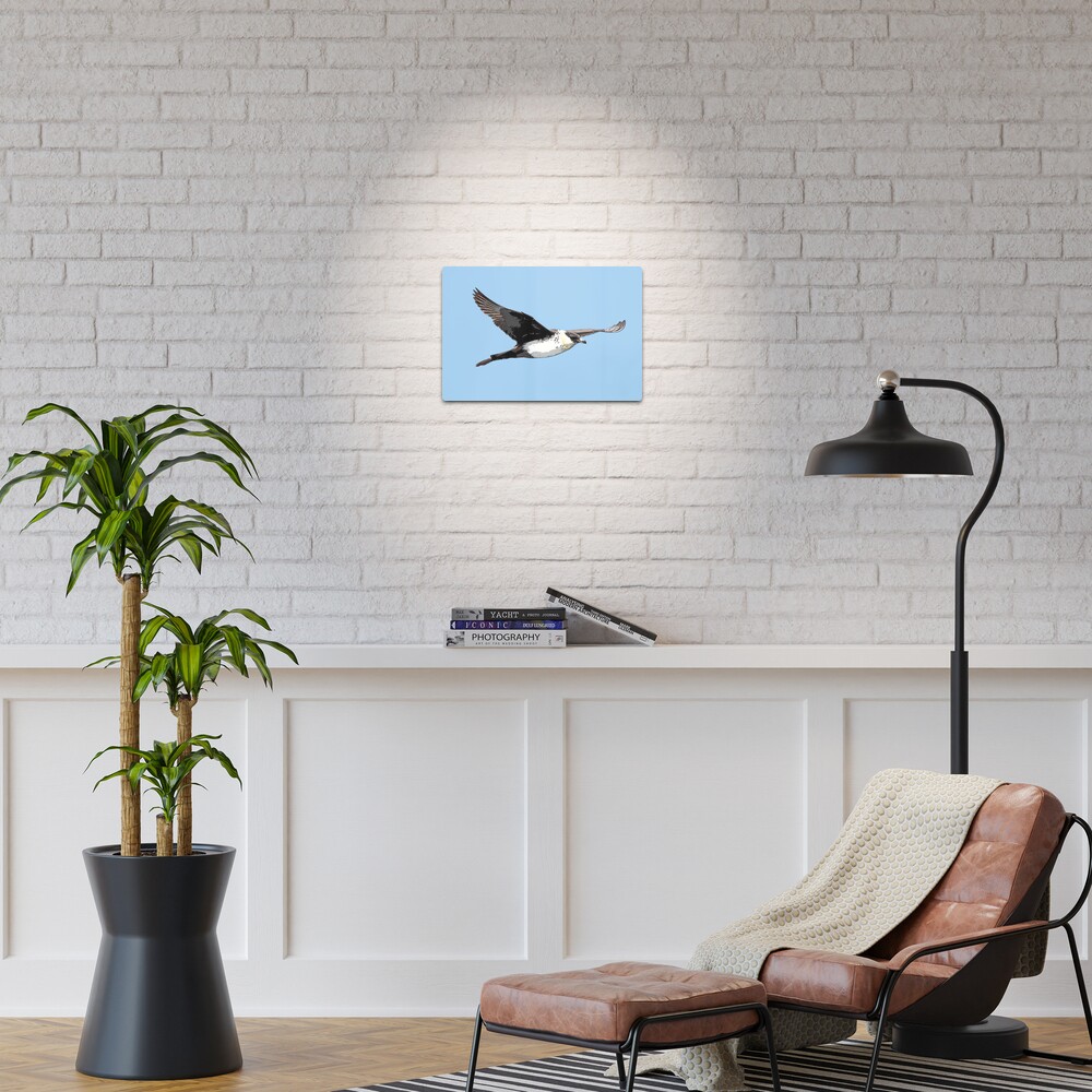 Item preview, Metal Print designed and sold by designsasstultd.