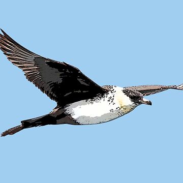 Artwork thumbnail, Pomarine Jaeger Skua Color Design by designsasstultd