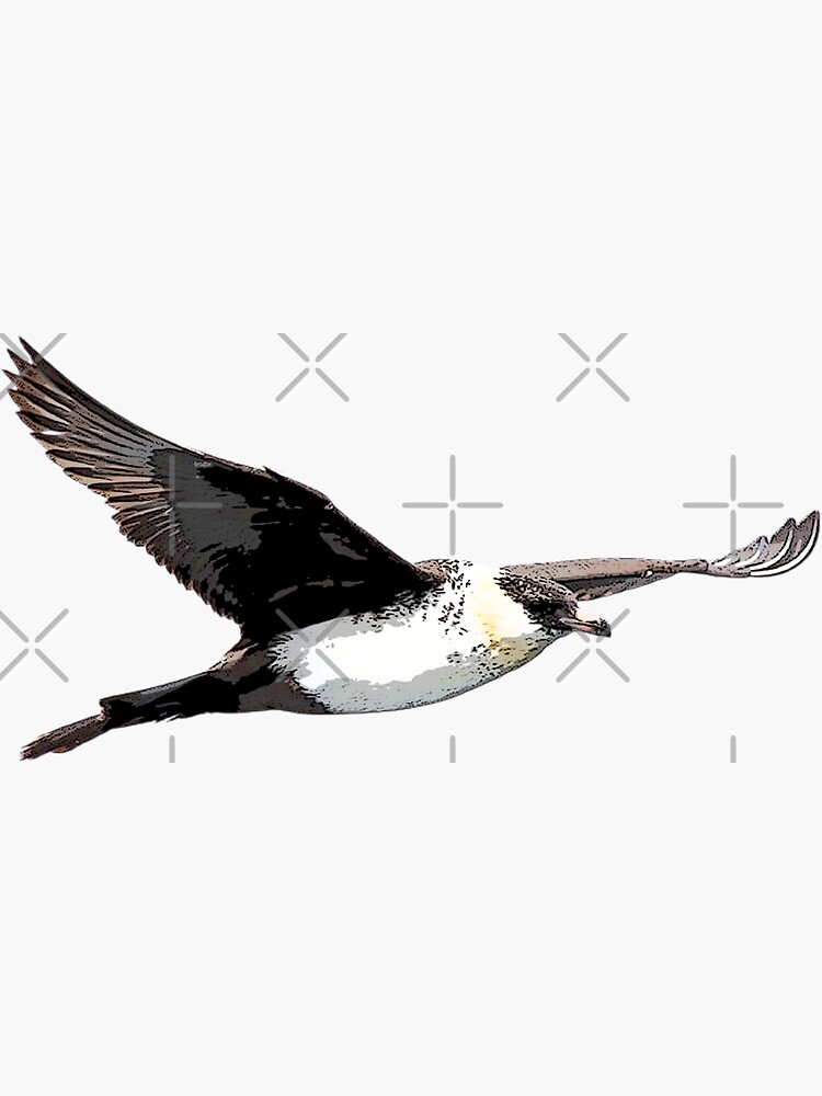 Thumbnail 3 of 3, Sticker, Pomarine Jaeger Skua Color Design designed and sold by designsasstultd.