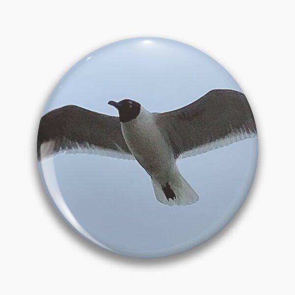 Item preview, Afternoon Beach Flight designed and sold by South Bay Storyteller .