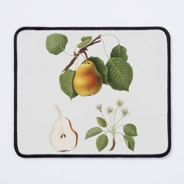 Item preview, Botanical Pear designed and sold by kimberpix.