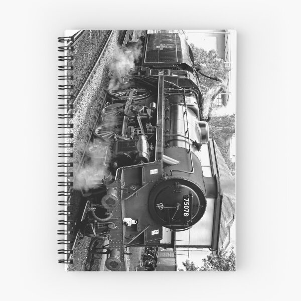 Item preview, 75078 - Taking On Water designed and sold by Barrie Woodward.