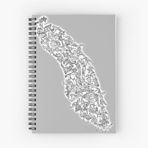 Item preview, Birds -  Evolution designed and sold by EvolutionPoster.