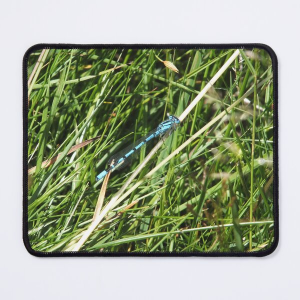 Item preview, Blue damselfly designed and sold by pinkal.