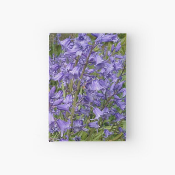 Bluebells 3 Hardcover Journal