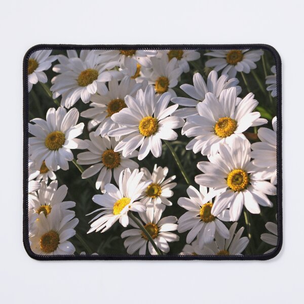 Item preview, Shasta Daisy designed and sold by pinkal.