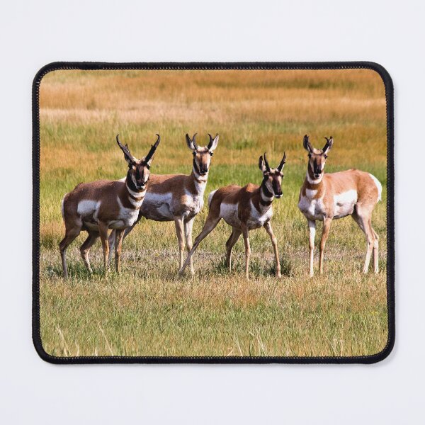 Item preview, Pronghorn Antelope designed and sold by Valentina Gatewood.