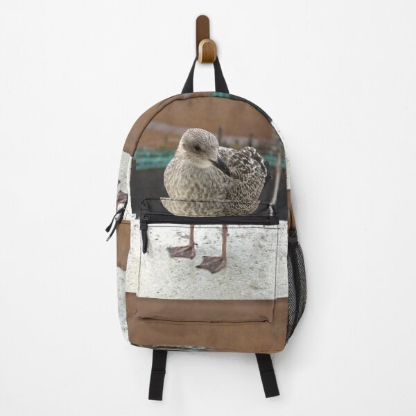 Item preview, Herring Gull Chick designed and sold by pinkal.