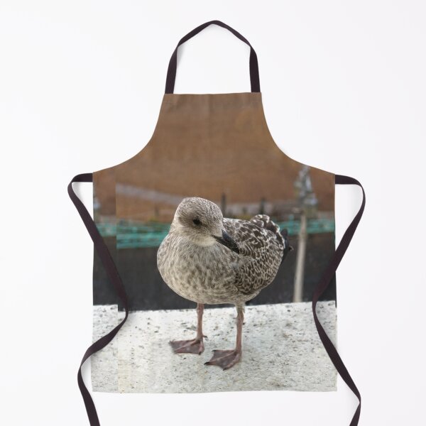 Item preview, Herring Gull Chick designed and sold by pinkal.