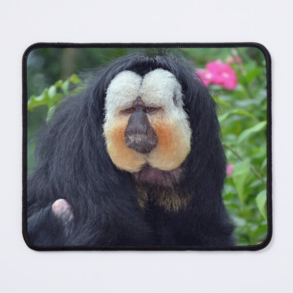 Item preview, Saki Monkey designed and sold by Savannah Gibbs.