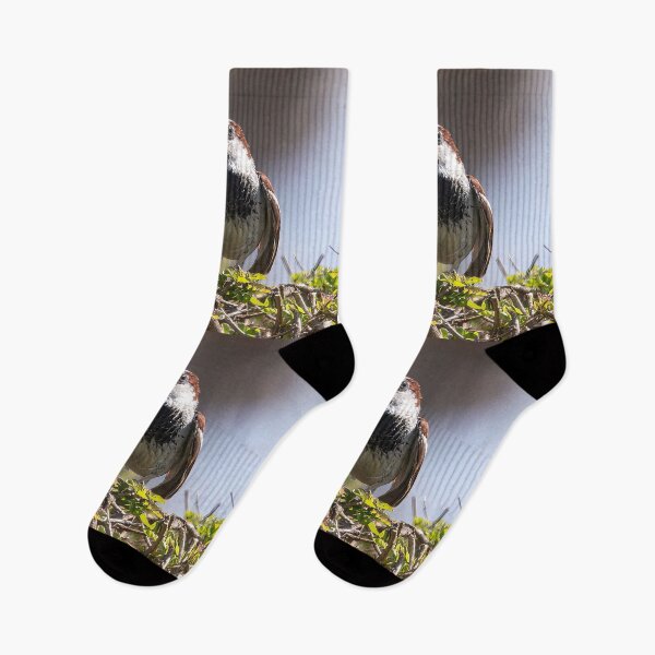 Item preview, House Sparrow Sitting on Bushes  designed and sold by CarolM.