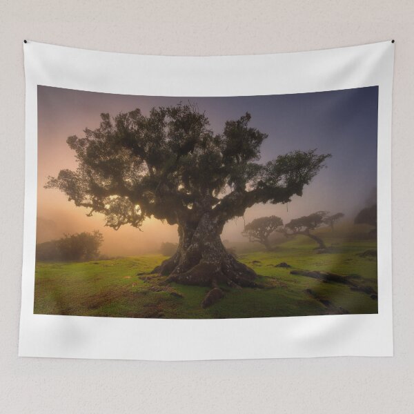 Item preview, Sunrise light designed and sold by andreisky.