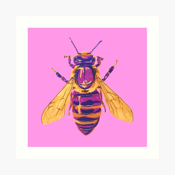 Honey Bee Art Print