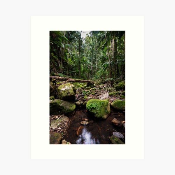 Item preview, Lush rainforest - Lamington National Park, Australia designed and sold by Gypsy Soul Images.