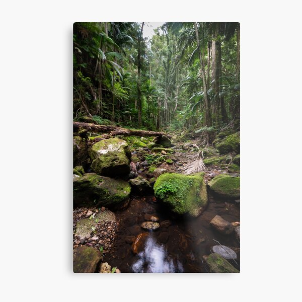 Item preview, Lush rainforest - Lamington National Park, Australia designed and sold by Gypsy Soul Images.