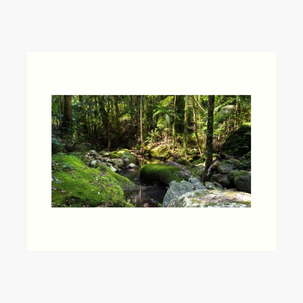 Item preview, Gondwana rainforest - Lamington National Park, Australia designed and sold by Gypsy Soul Images.