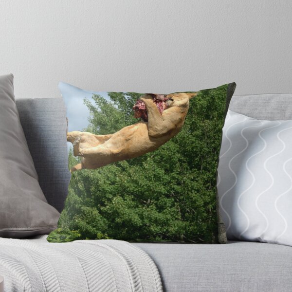 Item preview, Big Cat, big jump designed and sold by Alan Mattison.