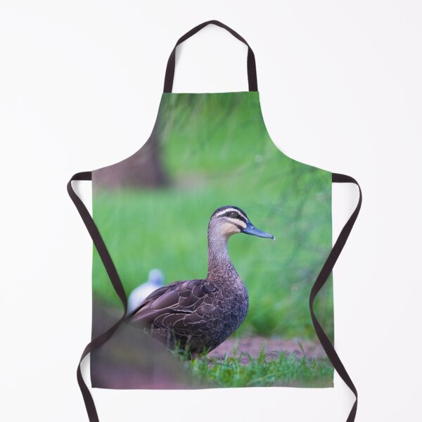 Item preview, Pacific Black Duck peek - duck designed and sold by Tara Smithson.