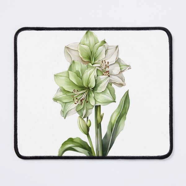 Item preview, Green Amaryllis designed and sold by HOMETOWN86.
