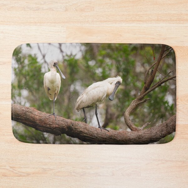 Item preview, Spoonbills in Australia - bird designed and sold by Tara Smithson.