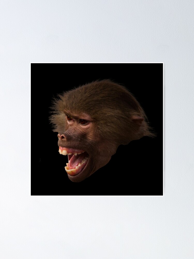Imagen 1 de 3, Póster con la obra Angry Monkey Funny Meme Art, diseñada y vendida por AndenSol.