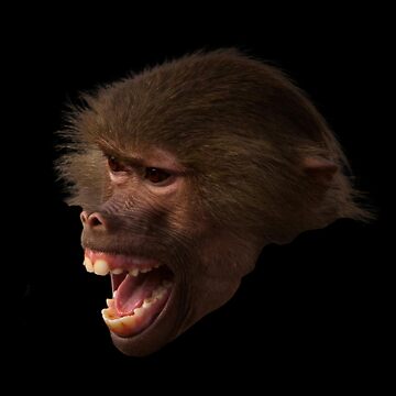 Imagen de la obra Angry Monkey Funny Meme Art de AndenSol
