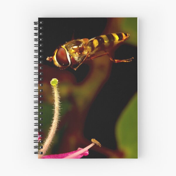 Item preview, Hover fly designed and sold by Damien Harkin.