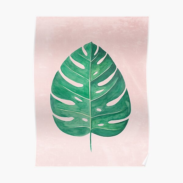 Monstera Watercolor Painting" Poster By Chipiartprints | Redbubble