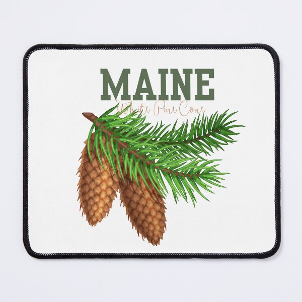 Item preview, Maine White Pine Cone State Flower Classic T-shirt Sticker designed and sold by ThinkNature!.