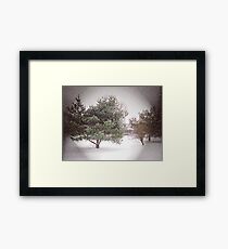SNOWSTORM Framed Print