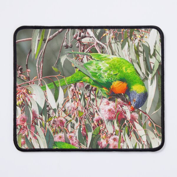 Item preview, Cornucopia - Rainbow Lorikeets designed and sold by Frances McMahon Watercolour Bird Artist.