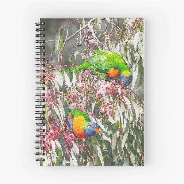 Item preview, Cornucopia - Rainbow Lorikeets designed and sold by Frances McMahon Watercolour Bird Artist.