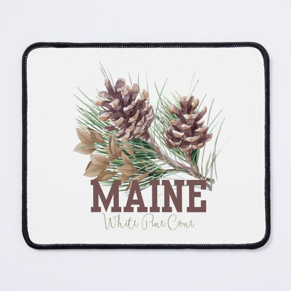 Item preview, Maine White Pine Cone State Flower Classic T-shirt Sticker designed and sold by ThinkNature!.