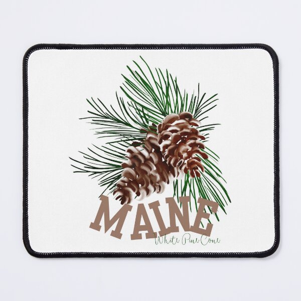 Item preview, Maine White Pine Cone State Flower Classic T-shirt Sticker designed and sold by ThinkNature!.